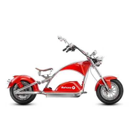 Electric motorcycle
