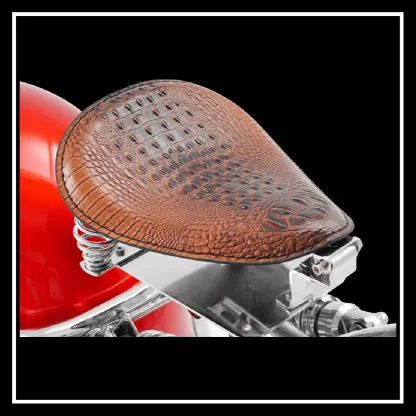 Electric motorcycle
