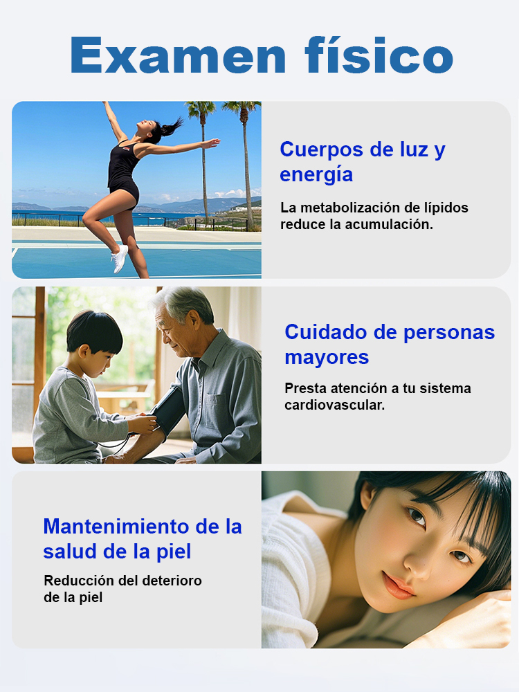 Pescaditos marinos crujientes ricos en proteínas listos para consumir