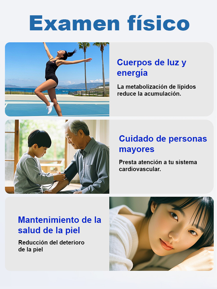 Pescaditos marinos crujientes ricos en proteínas listos para consumir