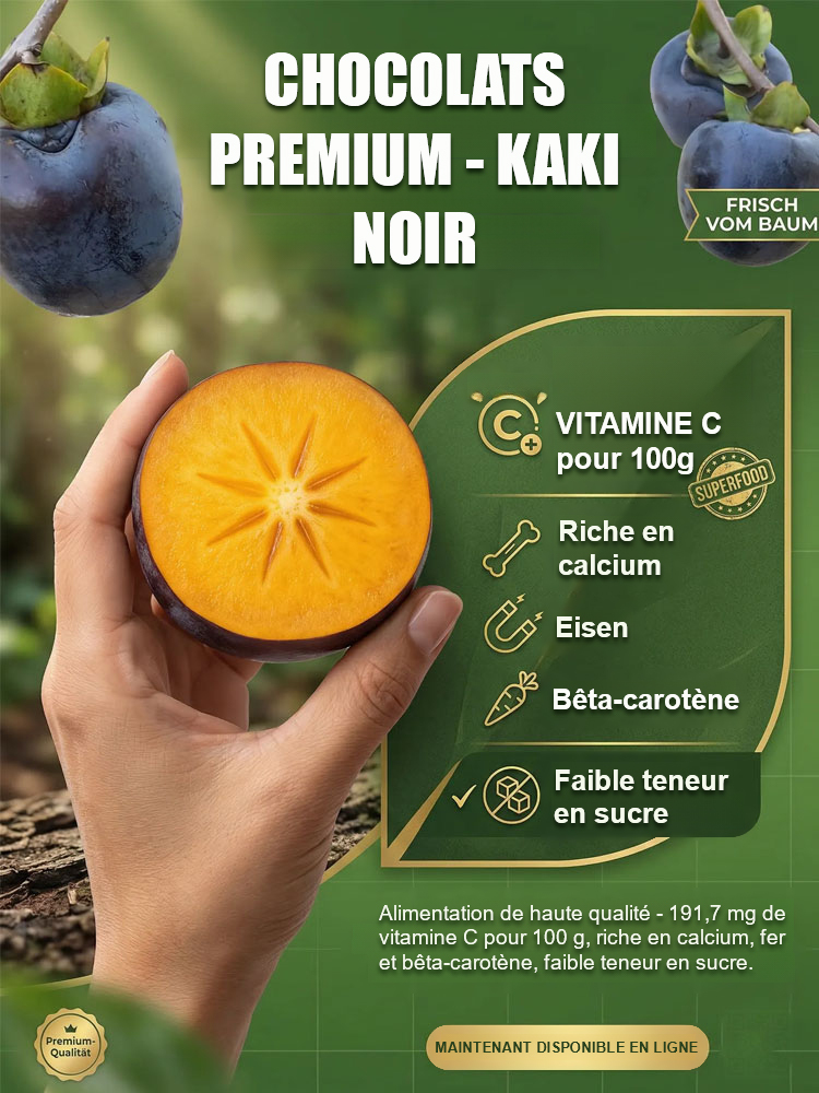 【Croissance garantie à 100% 】Plant de kaki 'Perle Noire Chocolat' résistant au froid – Le fruit divin dans votre jardin ! 🍫✨