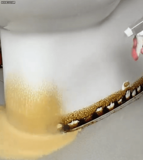 Honeycam 2026-01-22 10-38-16.gif