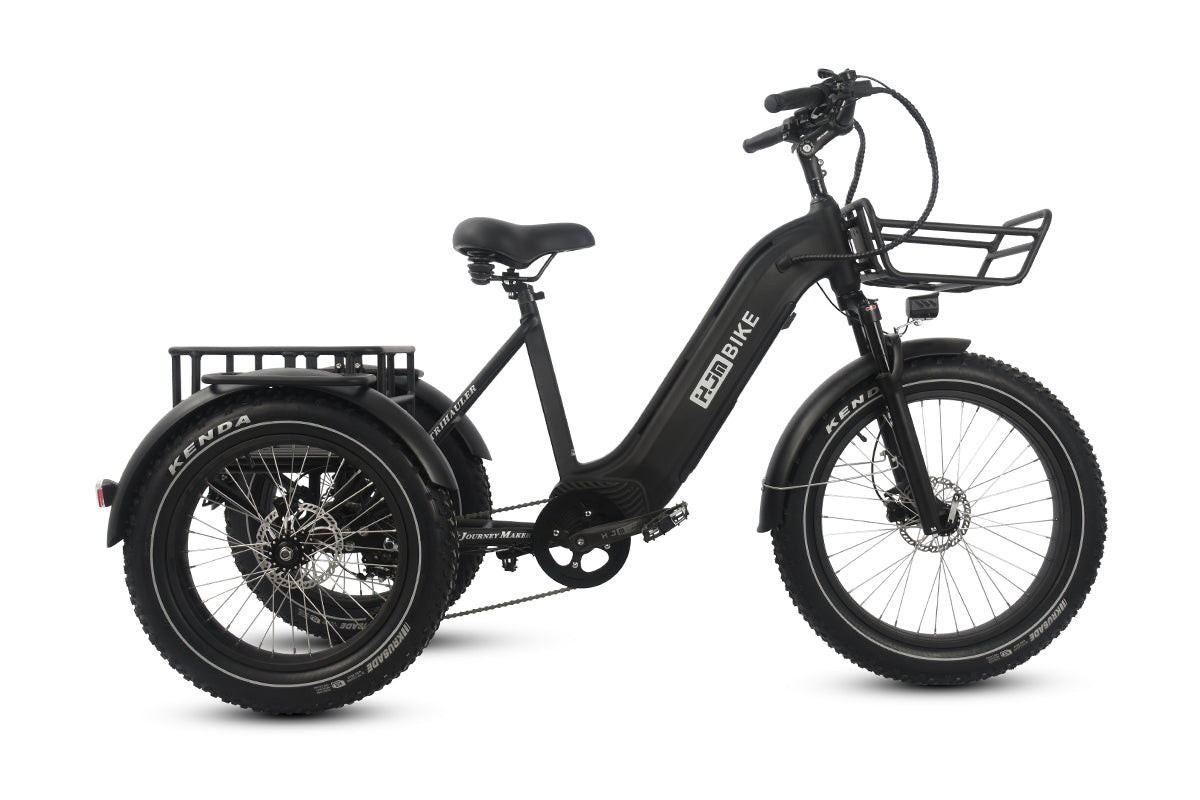 r Pro Cargo 1000W Rear-Drive Fat Tire Etrike (Fully Assembled)