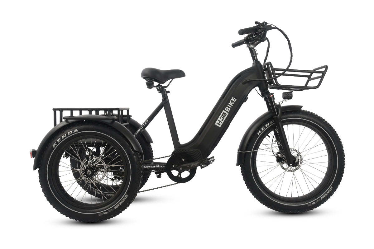r Pro Cargo 1000W Rear-Drive Fat Tire Etrike (Fully Assembled)