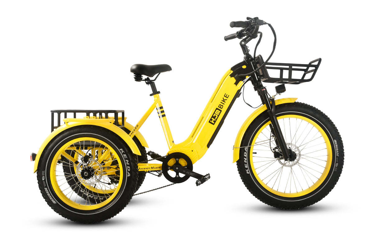 r Pro Cargo 1000W Rear-Drive Fat Tire Etrike (Fully Assembled)