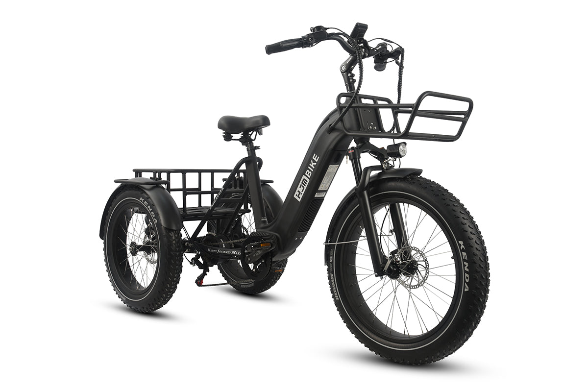 r Pro Cargo 1000W Rear-Drive Fat Tire Etrike (Fully Assembled)