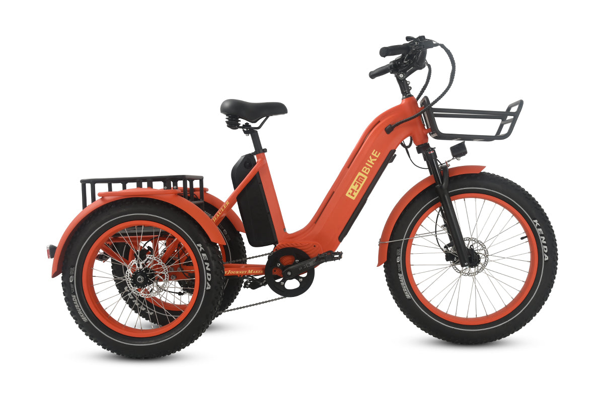 r Pro Cargo 1000W Rear-Drive Fat Tire Etrike (Fully Assembled)