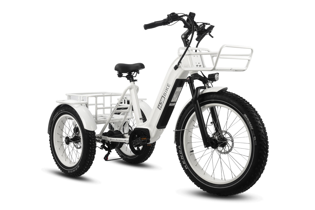 r Pro Cargo 1000W Rear-Drive Fat Tire Etrike (Fully Assembled)