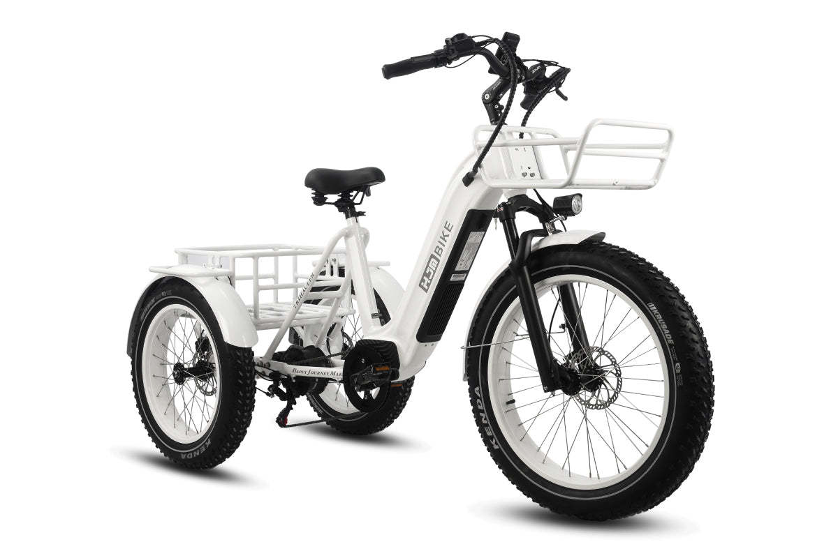 r Pro Cargo 1000W Rear-Drive Fat Tire Etrike (Fully Assembled)