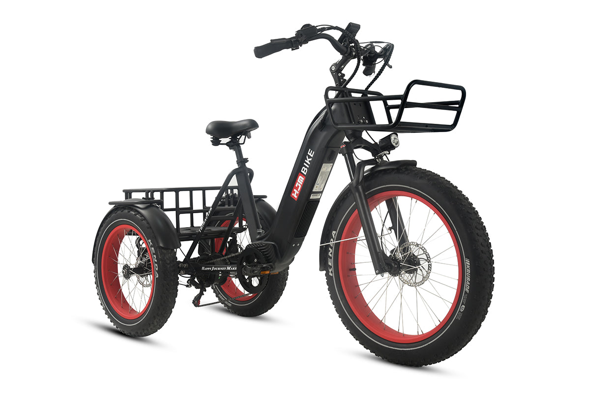r Pro Cargo 1000W Rear-Drive Fat Tire Etrike (Fully Assembled)