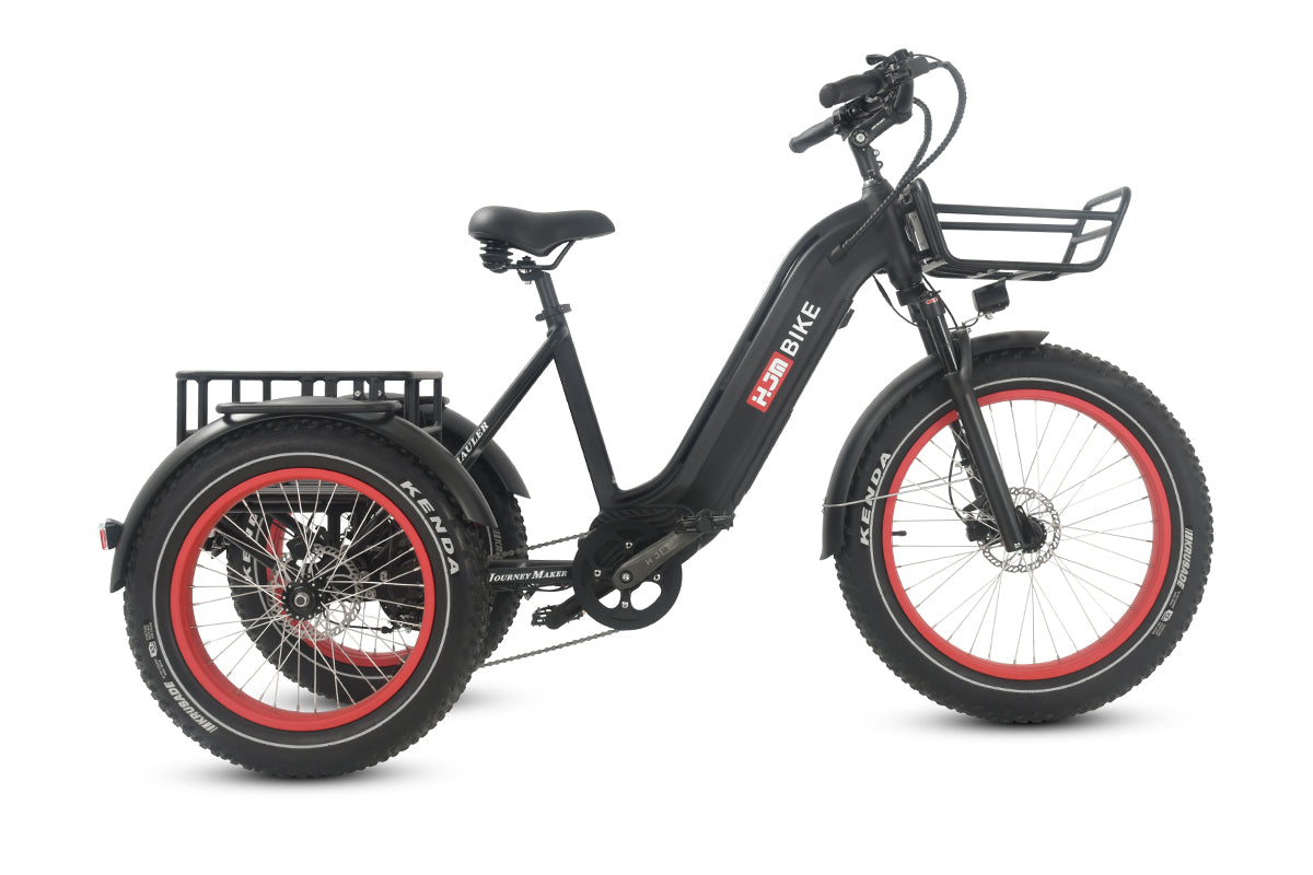 r Pro Cargo 1000W Rear-Drive Fat Tire Etrike (Fully Assembled)