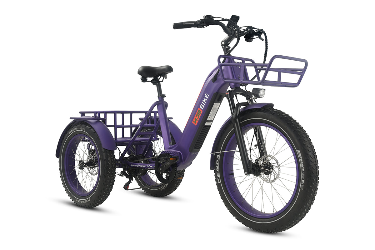 r Pro Cargo 1000W Rear-Drive Fat Tire Etrike (Fully Assembled)