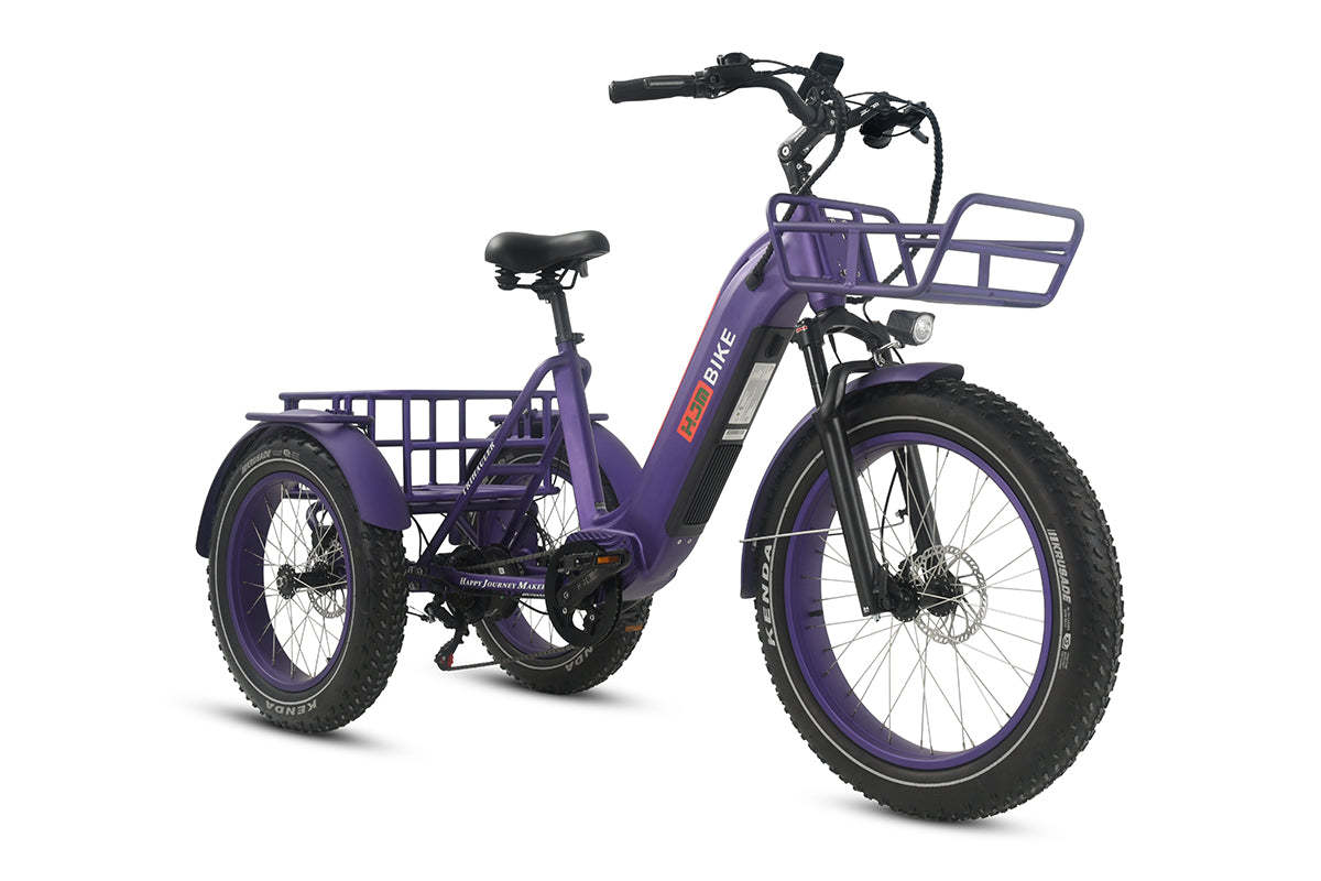 r Pro Cargo 1000W Rear-Drive Fat Tire Etrike (Fully Assembled)