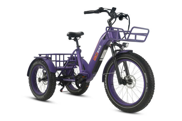 r Pro Cargo 1000W Rear-Drive Fat Tire Etrike (Fully Assembled)
