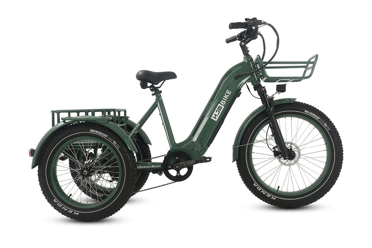 r Pro Cargo 1000W Rear-Drive Fat Tire Etrike (Fully Assembled)
