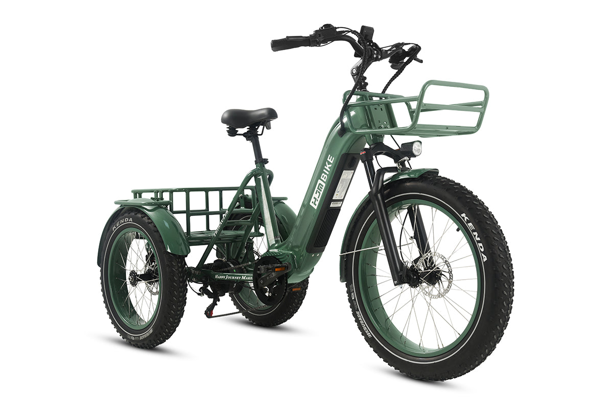 r Pro Cargo 1000W Rear-Drive Fat Tire Etrike (Fully Assembled)