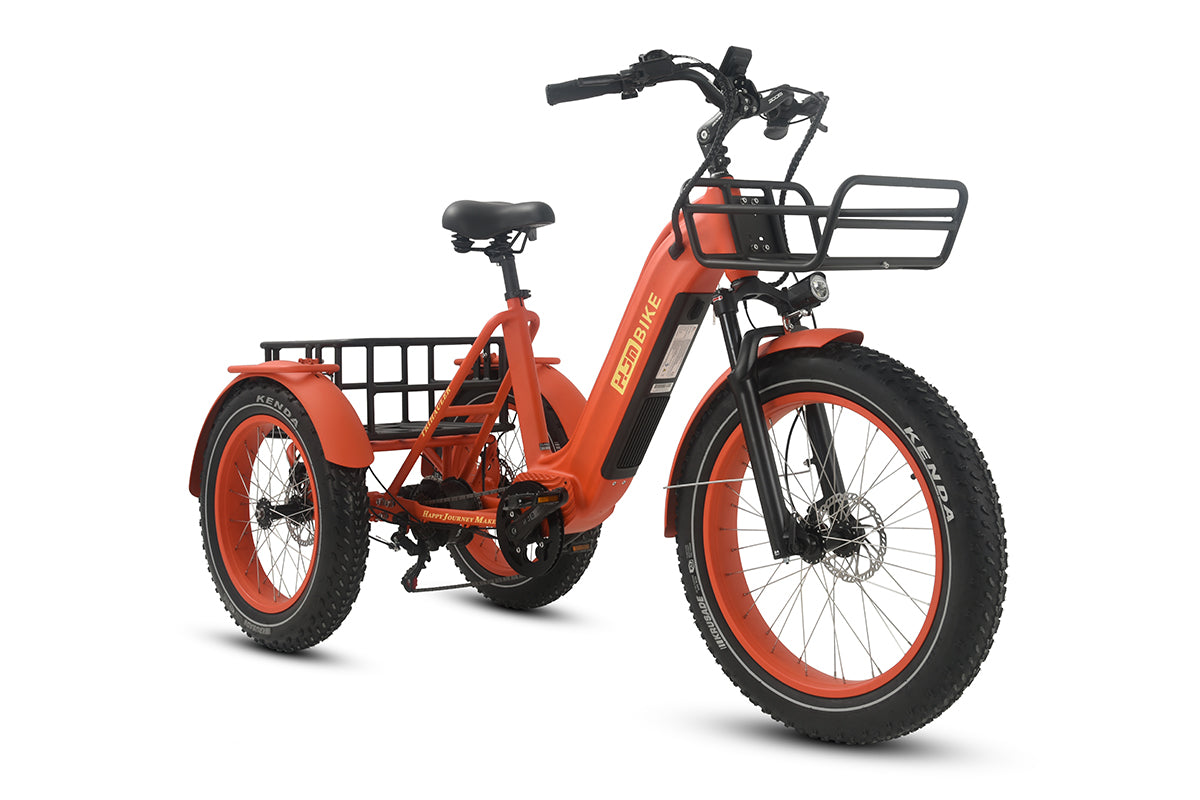r Pro Cargo 1000W Rear-Drive Fat Tire Etrike (Fully Assembled)