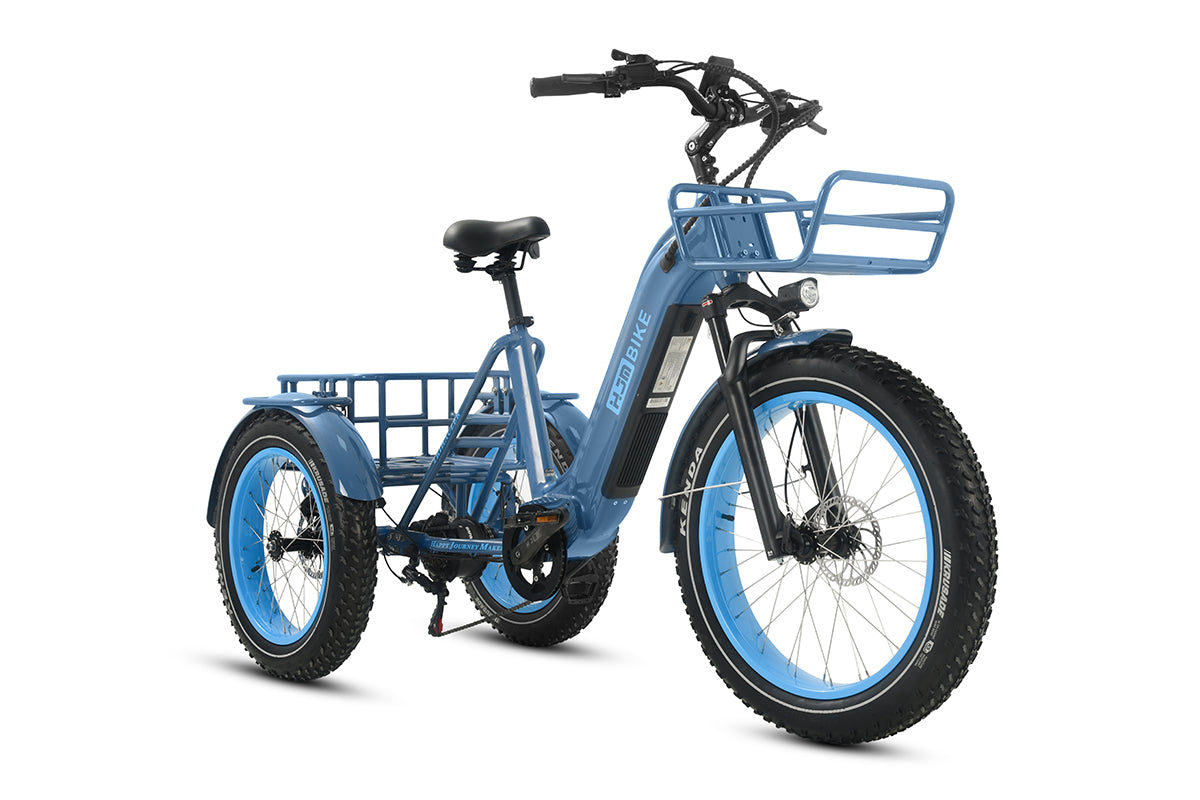 r Pro Cargo 1000W Rear-Drive Fat Tire Etrike (Fully Assembled)