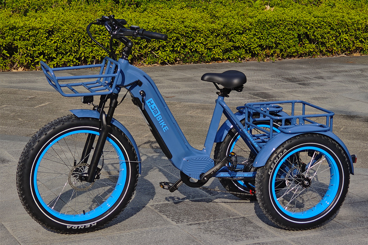 r Pro Cargo 1000W Rear-Drive Fat Tire Etrike (Fully Assembled)