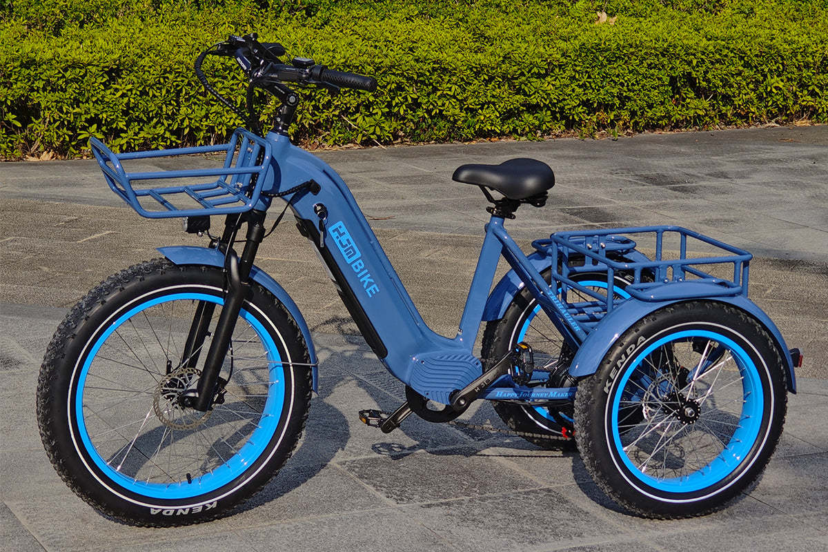 r Pro Cargo 1000W Rear-Drive Fat Tire Etrike (Fully Assembled)