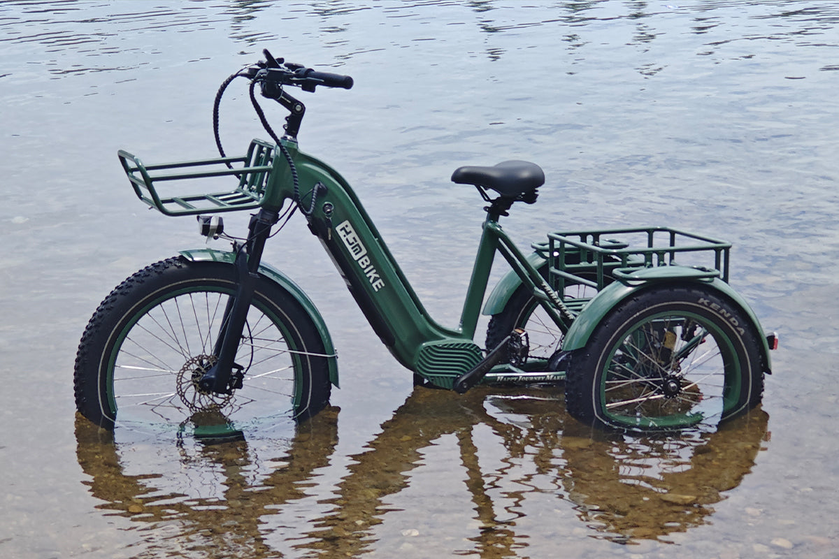 r Pro Cargo 1000W Rear-Drive Fat Tire Etrike (Fully Assembled)