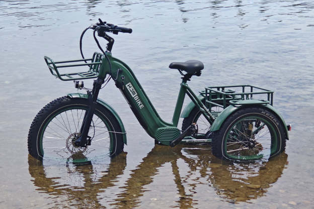 r Pro Cargo 1000W Rear-Drive Fat Tire Etrike (Fully Assembled)