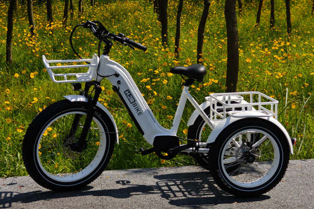 r Pro Cargo 1000W Rear-Drive Fat Tire Etrike (Fully Assembled)