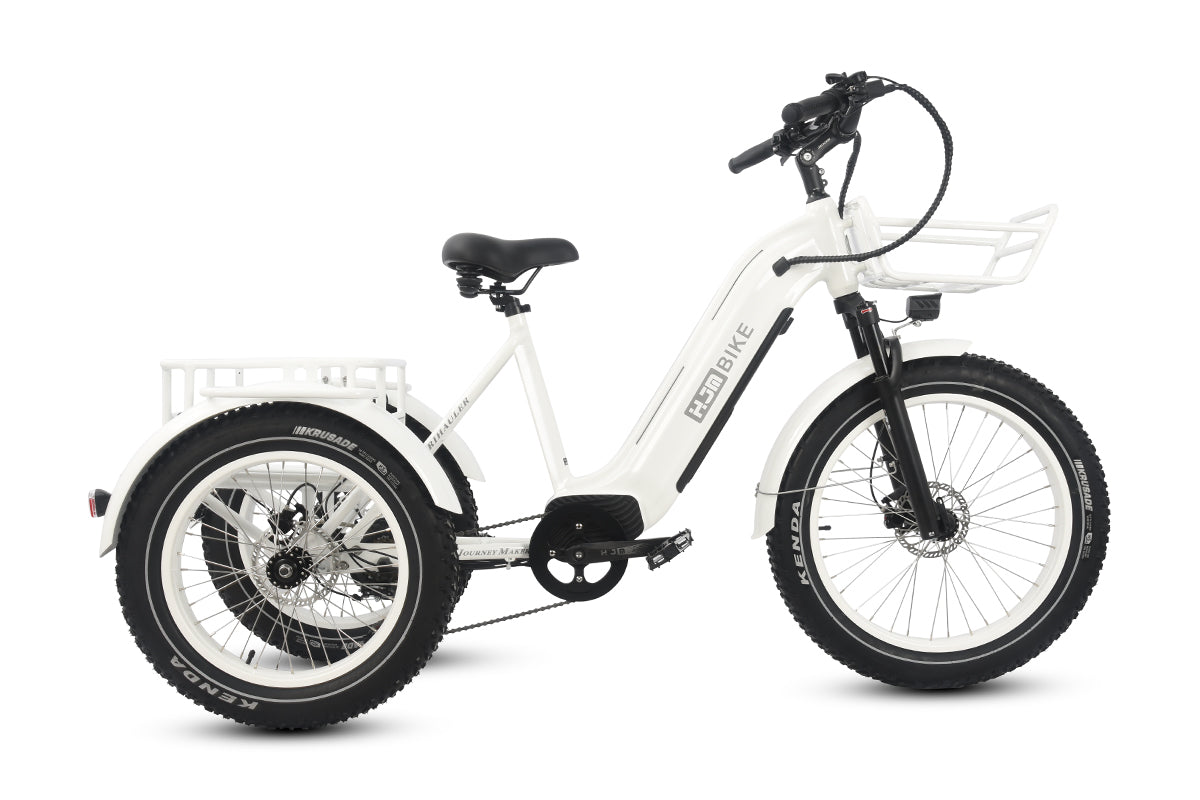 r Pro Cargo 1000W Rear-Drive Fat Tire Etrike (Fully Assembled)