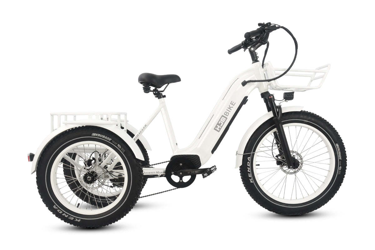 r Pro Cargo 1000W Rear-Drive Fat Tire Etrike (Fully Assembled)