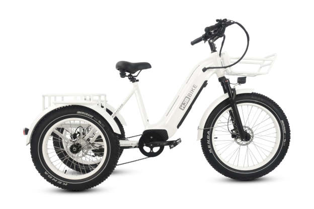 r Pro Cargo 1000W Rear-Drive Fat Tire Etrike (Fully Assembled)