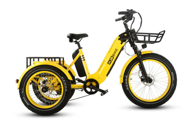 r Pro Cargo 1000W Rear-Drive Fat Tire Etrike (Fully Assembled)