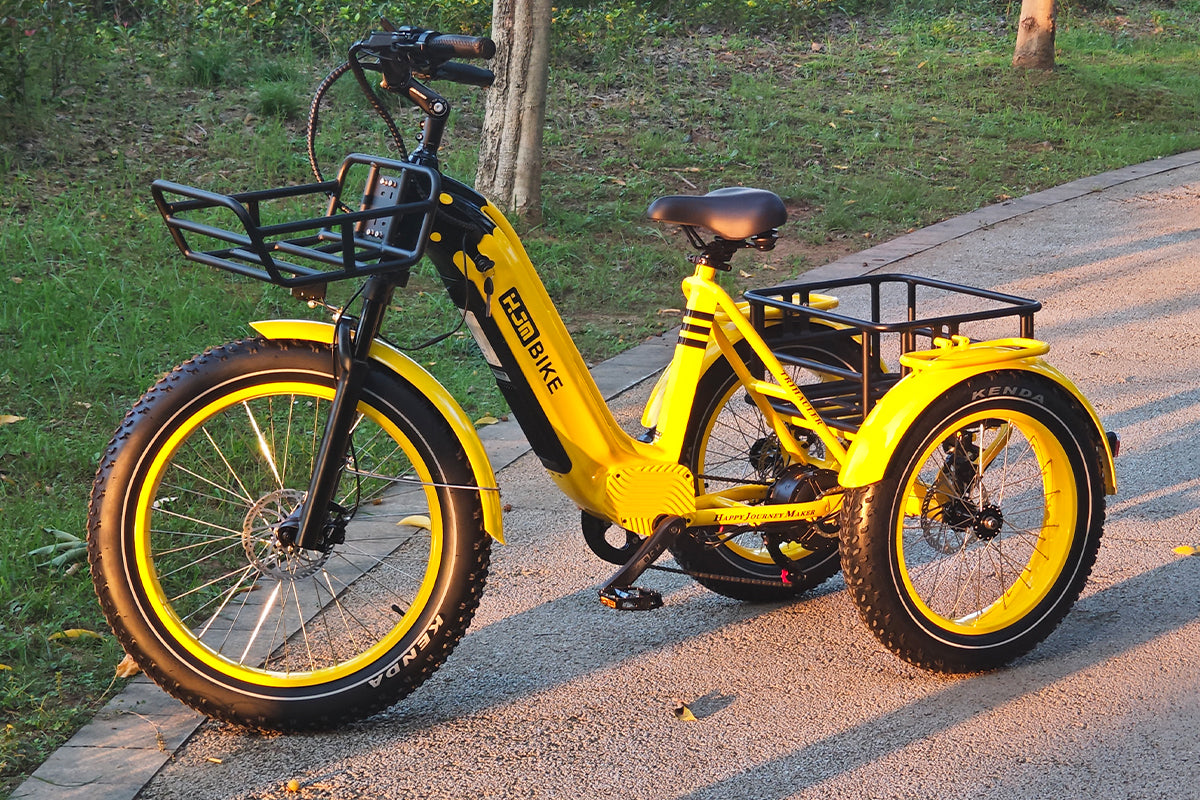 r Pro Cargo 1000W Rear-Drive Fat Tire Etrike (Fully Assembled)