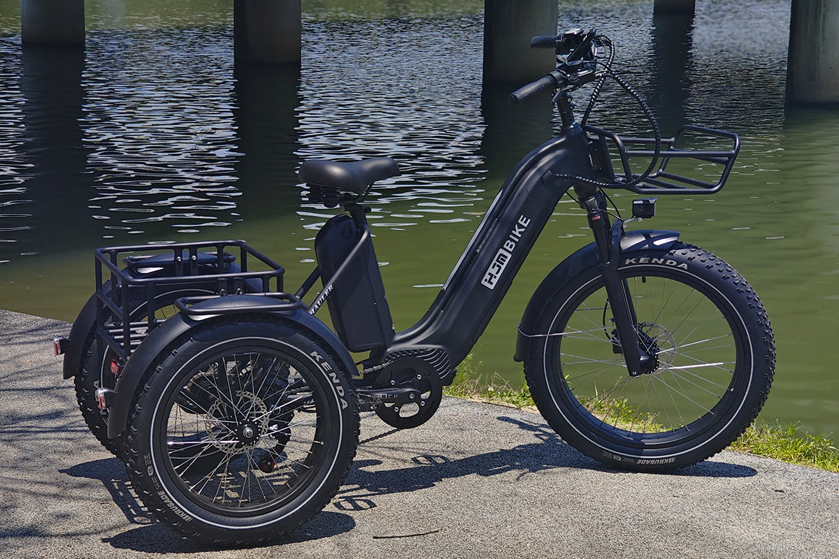 r Pro Cargo 1000W Rear-Drive Fat Tire Etrike (Fully Assembled)