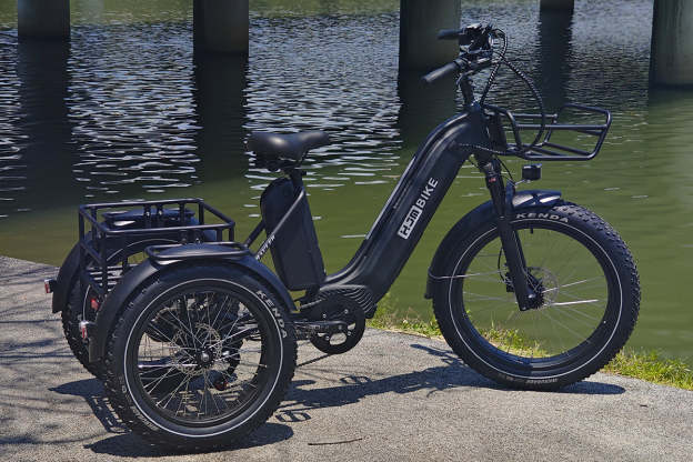 r Pro Cargo 1000W Rear-Drive Fat Tire Etrike (Fully Assembled)