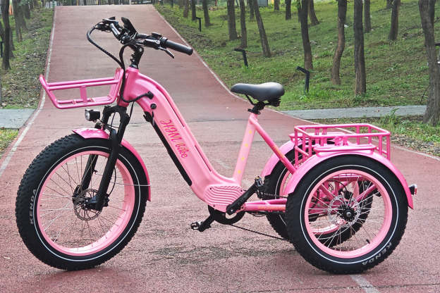 r Pro Cargo 1000W Rear-Drive Fat Tire Etrike (Fully Assembled)