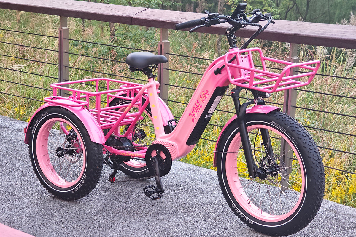 r Pro Cargo 1000W Rear-Drive Fat Tire Etrike (Fully Assembled)