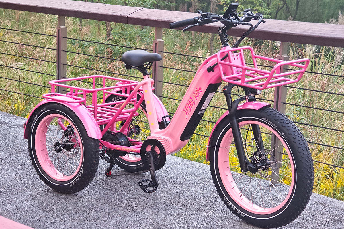 r Pro Cargo 1000W Rear-Drive Fat Tire Etrike (Fully Assembled)