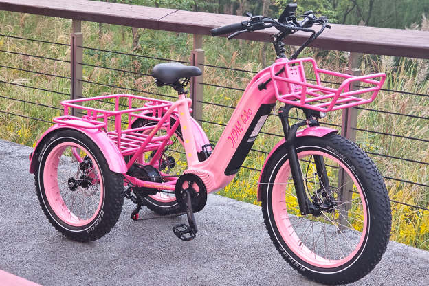 r Pro Cargo 1000W Rear-Drive Fat Tire Etrike (Fully Assembled)