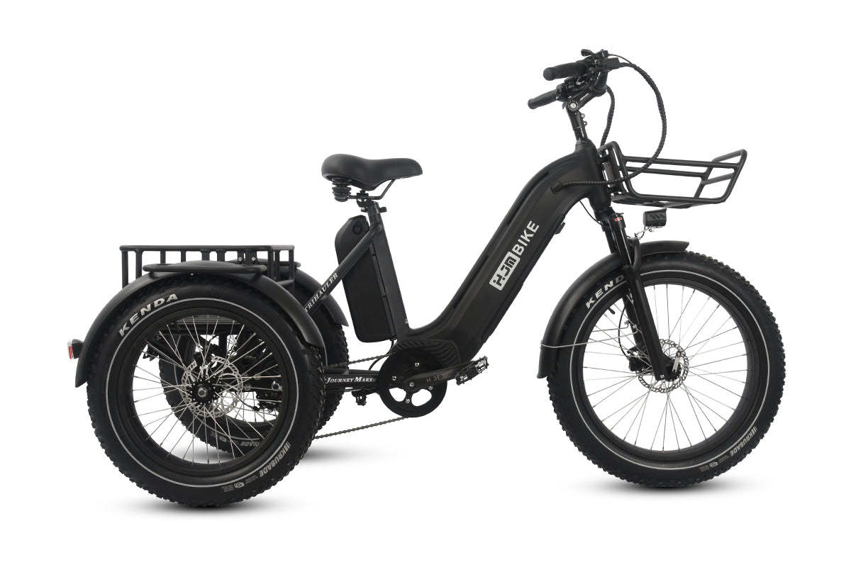 r Pro Cargo 1000W Rear-Drive Fat Tire Etrike (Fully Assembled)