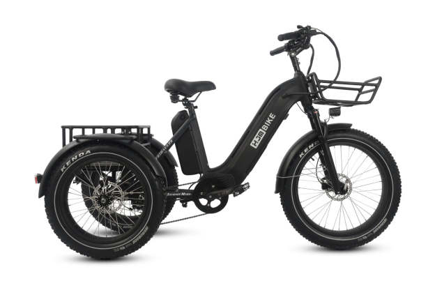 r Pro Cargo 1000W Rear-Drive Fat Tire Etrike (Fully Assembled)