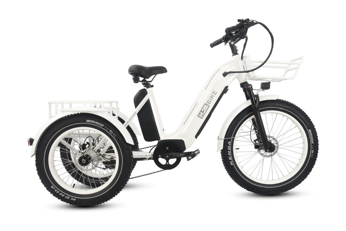 r Pro Cargo 1000W Rear-Drive Fat Tire Etrike (Fully Assembled)