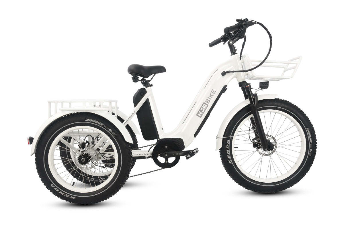 r Pro Cargo 1000W Rear-Drive Fat Tire Etrike (Fully Assembled)