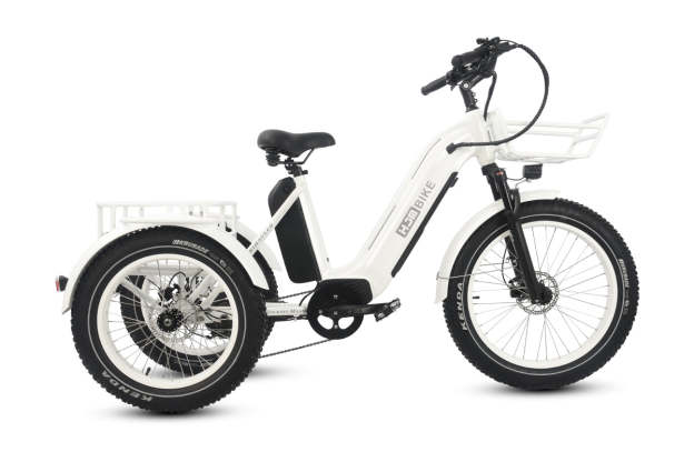 r Pro Cargo 1000W Rear-Drive Fat Tire Etrike (Fully Assembled)