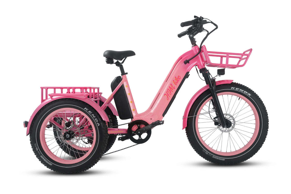 r Pro Cargo 1000W Rear-Drive Fat Tire Etrike (Fully Assembled)