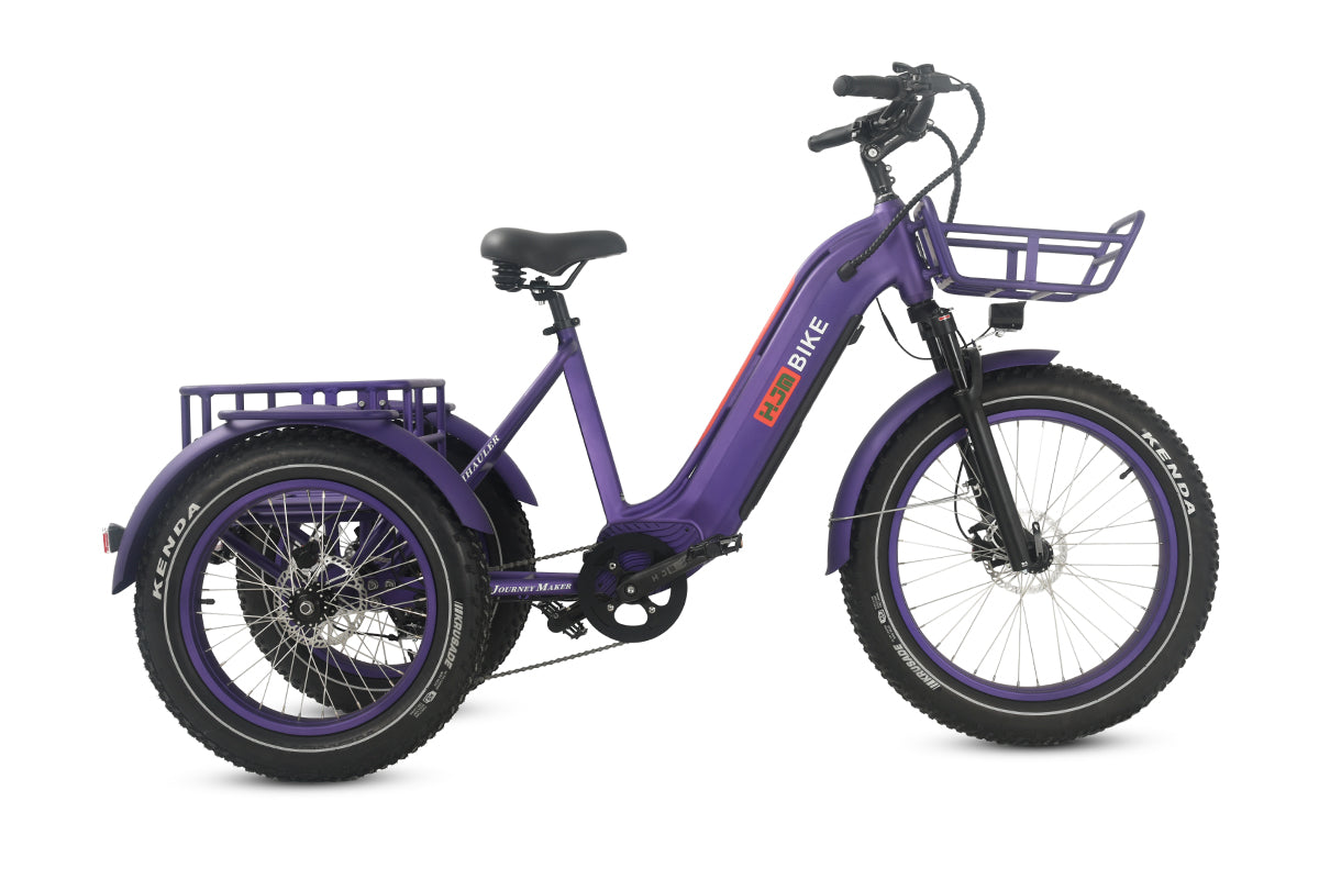 r Pro Cargo 1000W Rear-Drive Fat Tire Etrike (Fully Assembled)