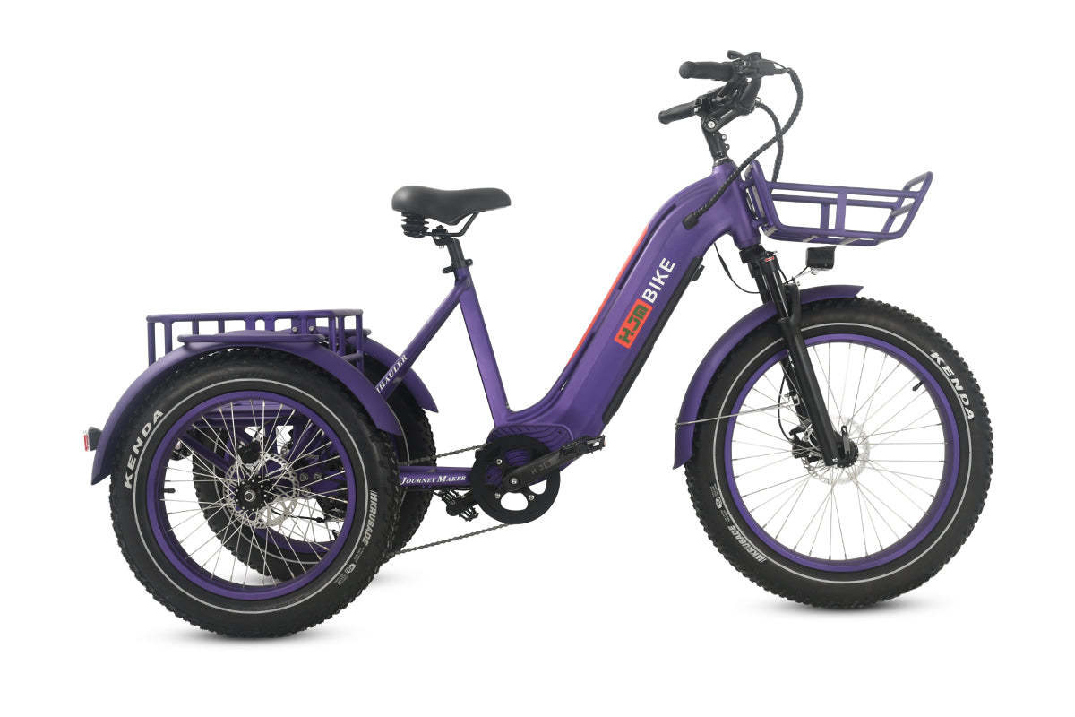 r Pro Cargo 1000W Rear-Drive Fat Tire Etrike (Fully Assembled)