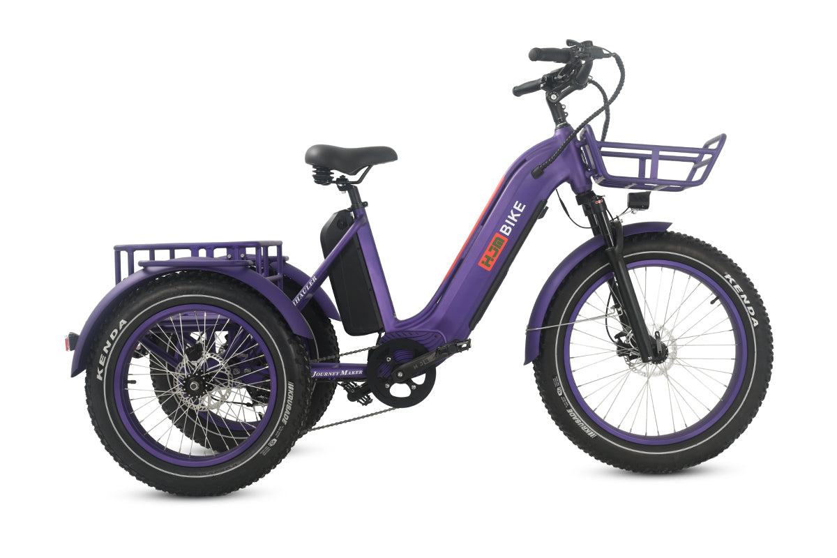 r Pro Cargo 1000W Rear-Drive Fat Tire Etrike (Fully Assembled)