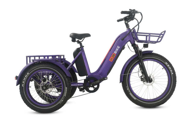 r Pro Cargo 1000W Rear-Drive Fat Tire Etrike (Fully Assembled)