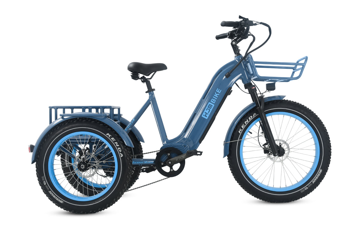 r Pro Cargo 1000W Rear-Drive Fat Tire Etrike (Fully Assembled)