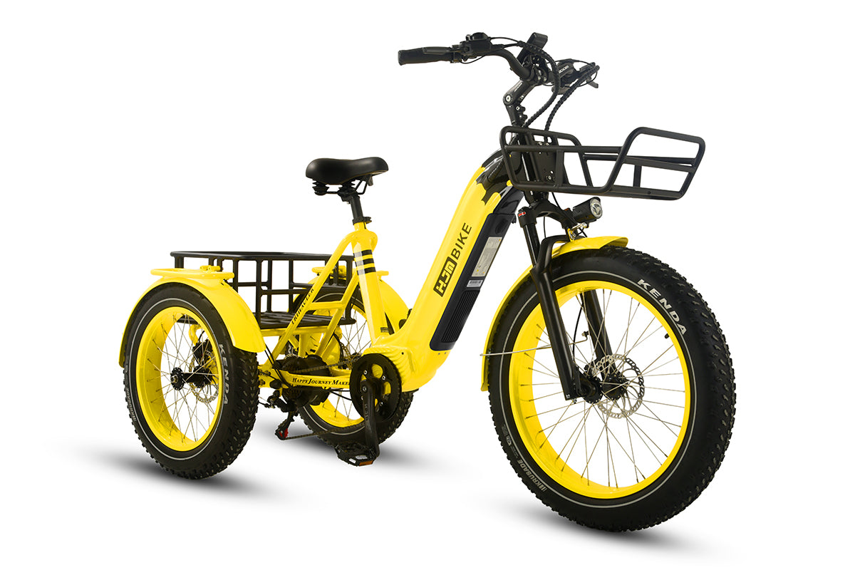 r Pro Cargo 1000W Rear-Drive Fat Tire Etrike (Fully Assembled)